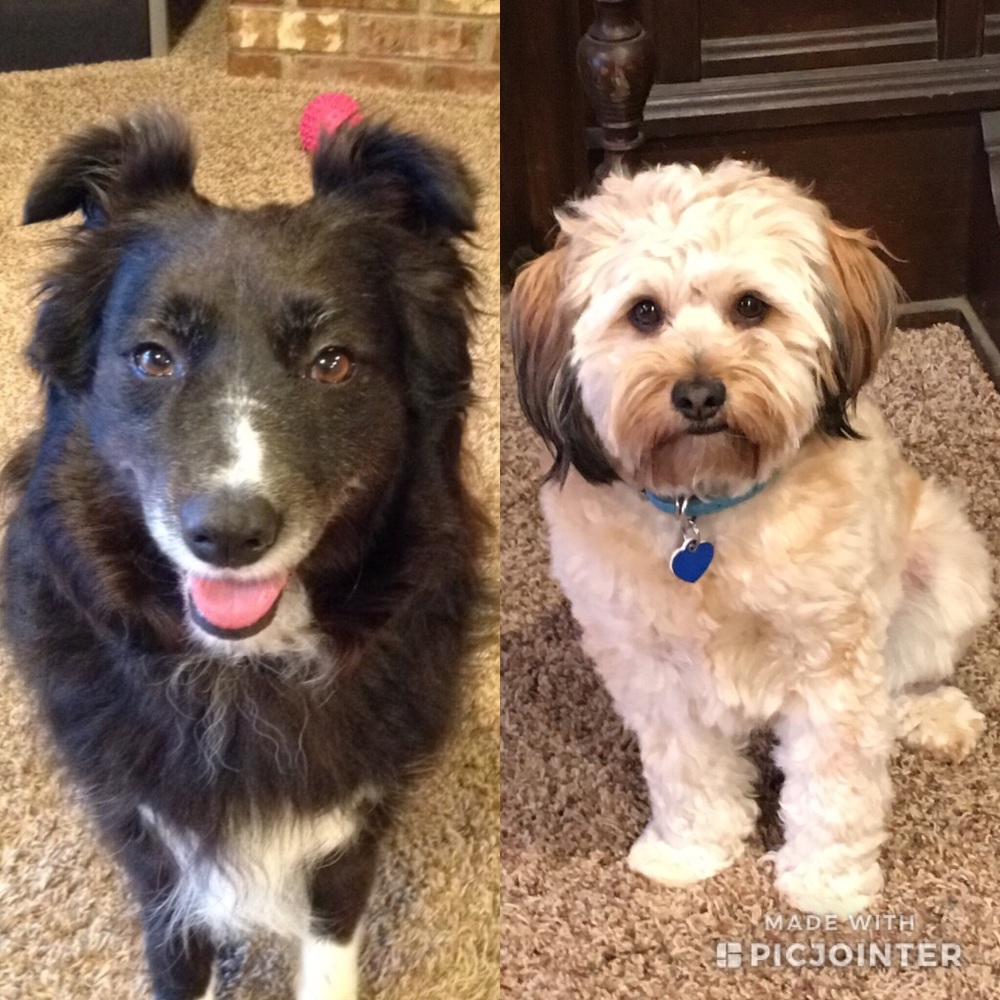 Meet your Posher, Tami